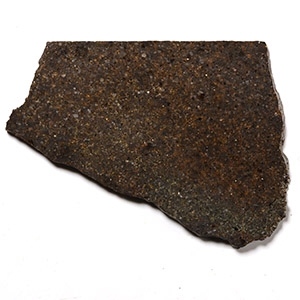 Natural History - Brachinite NWA 3151 Meteorite Slice